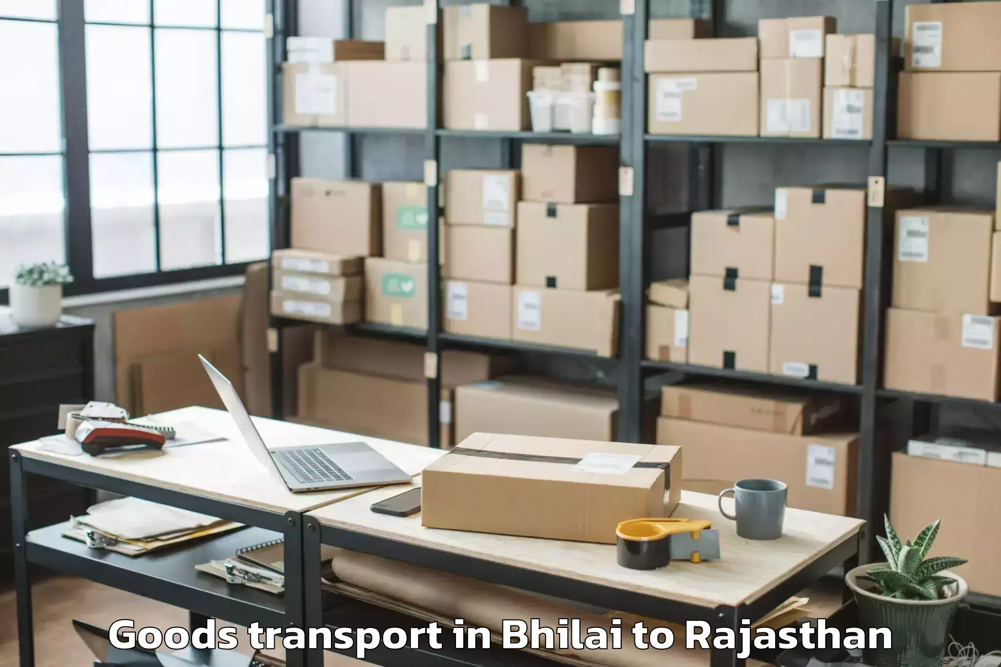 Trusted Bhilai to Phalodi Goods Transport